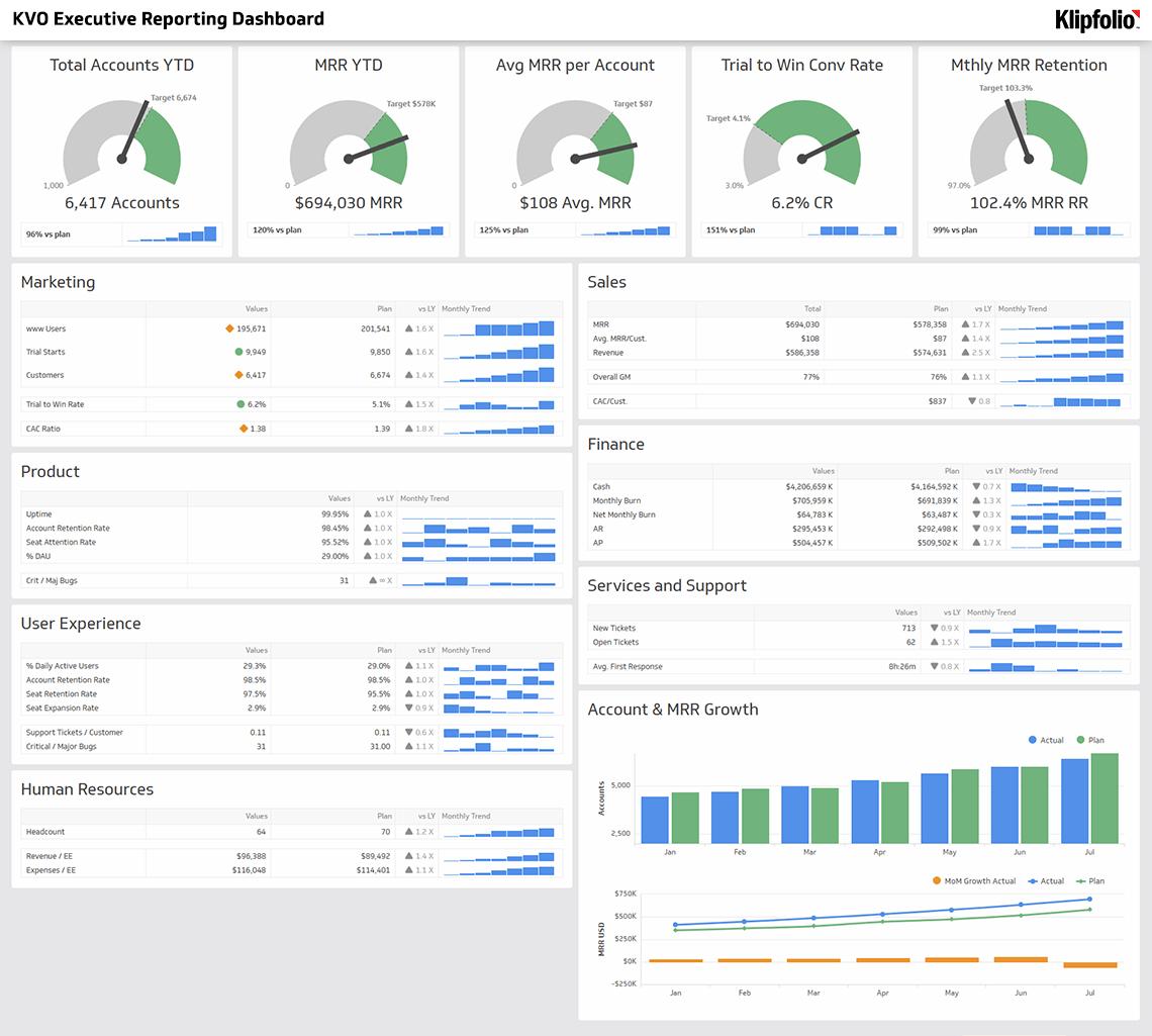Business Intelligence and Executive Reporting